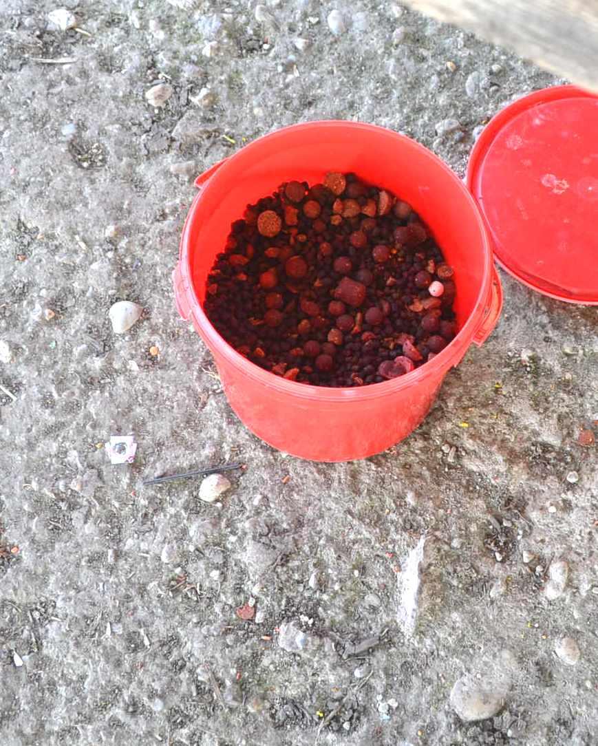 Greaca Cercani 28 - 30 mar. Cupa APS - dsc0917.JPG